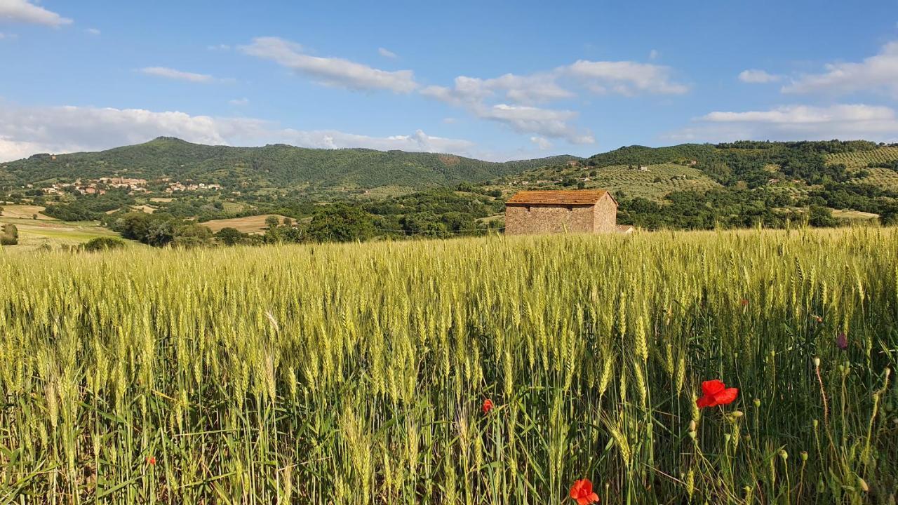 Vacanze Sant Andrea 帕西亚诺 外观 照片