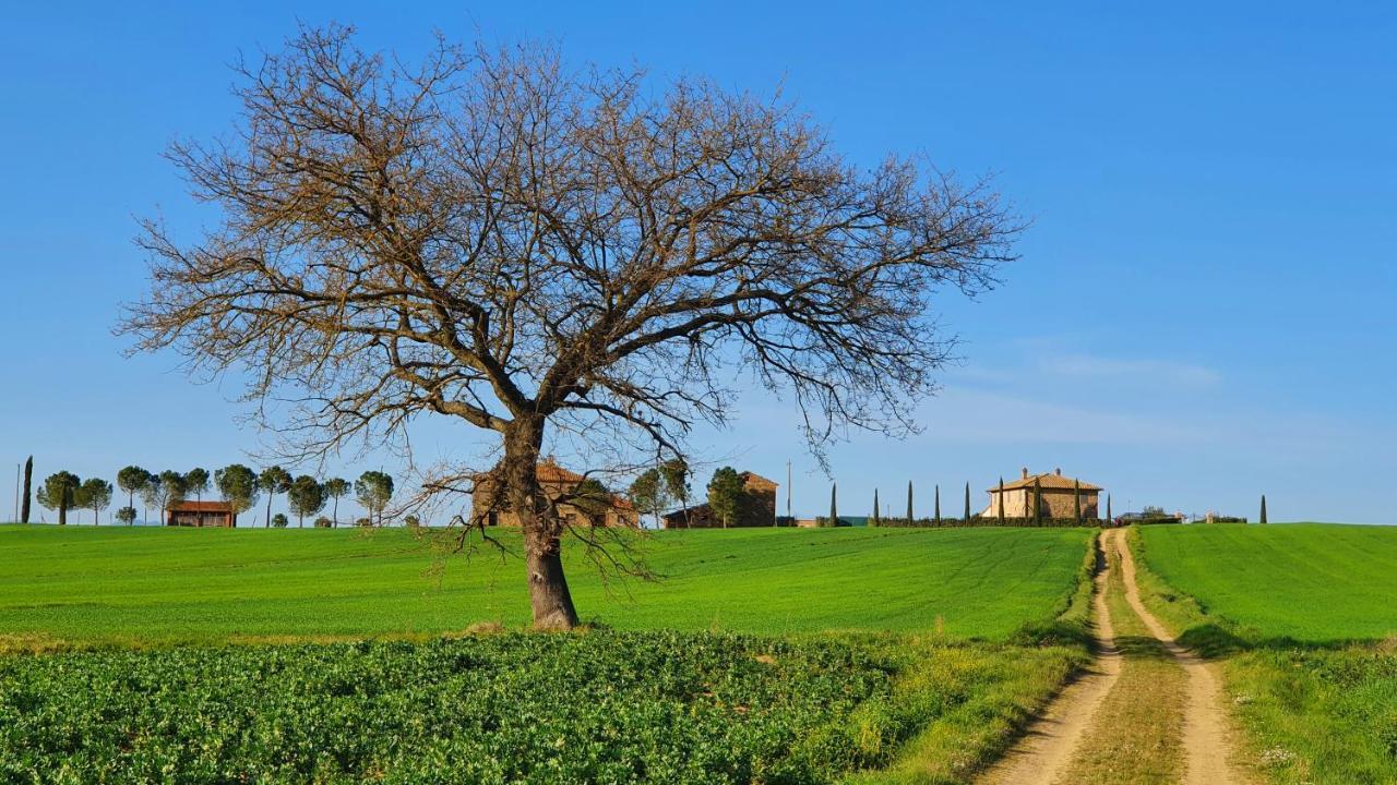 Vacanze Sant Andrea 帕西亚诺 外观 照片